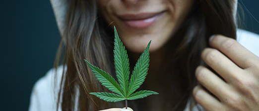 Top Shelf Medicine  Oregon's Premier Cannabis Dispensaries