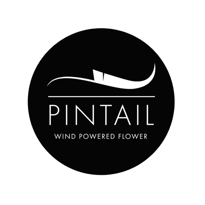 Pintail Logo